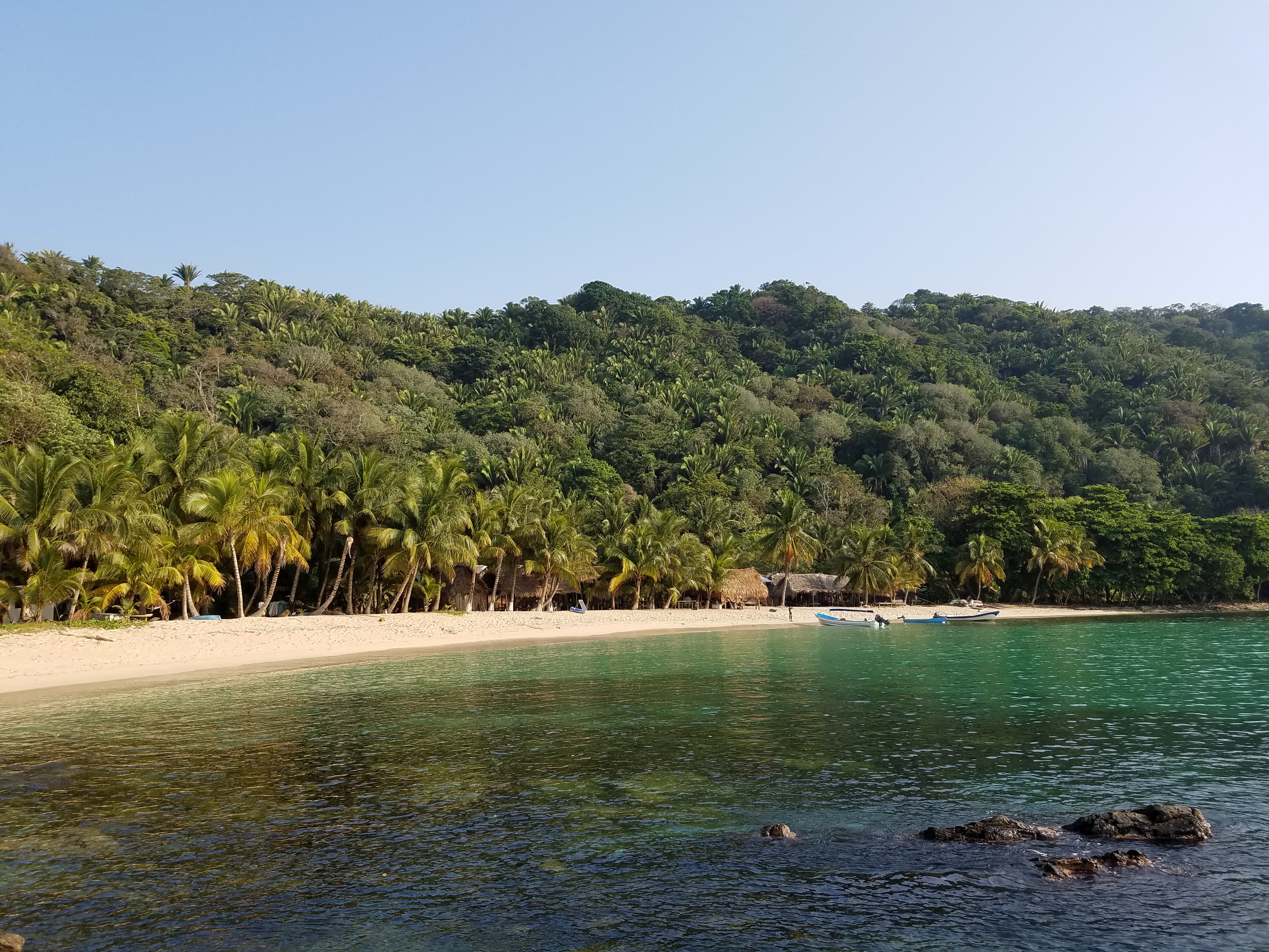 Pristine tropical beach with palm trees and turquoise water at Punta Sal, Honduras